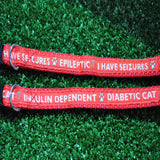 Epileptic Seizures - Diabetic Cat - Insulin Dependent - Medical Alert Cat/Kitten Collar - Custom Dog Collars