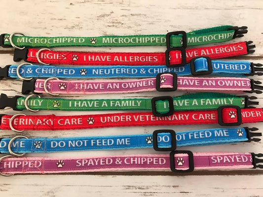 Microchipped - Allergies - Neutered - Spayed - Family - Owner - Vet Care - Feed Cat Kitten Collar - Custom Dog Collars