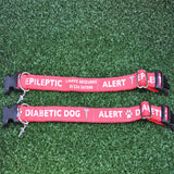 Epileptic - Medical Alert Dog Collar - Custom Dog Collars