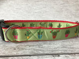 Cactus Inspired Dog Collar - Custom Dog Collars