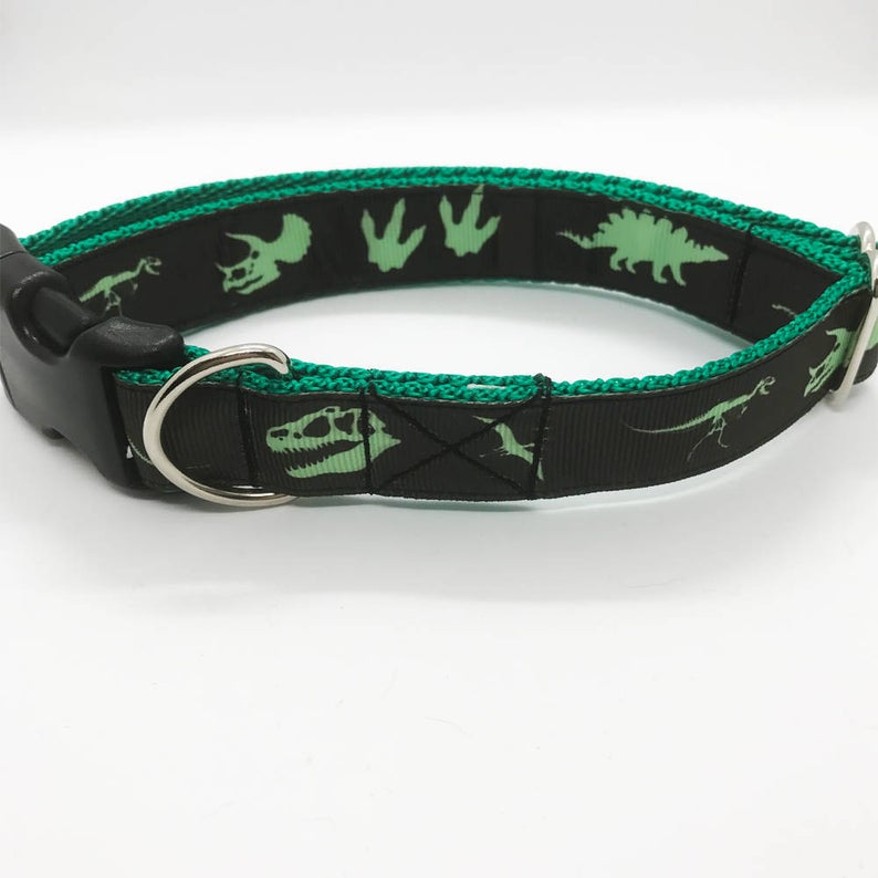 Orange Jurassic Dinosaur Skeleton Bones Dog Collar - View 4 | Dottie's Pet Boutique