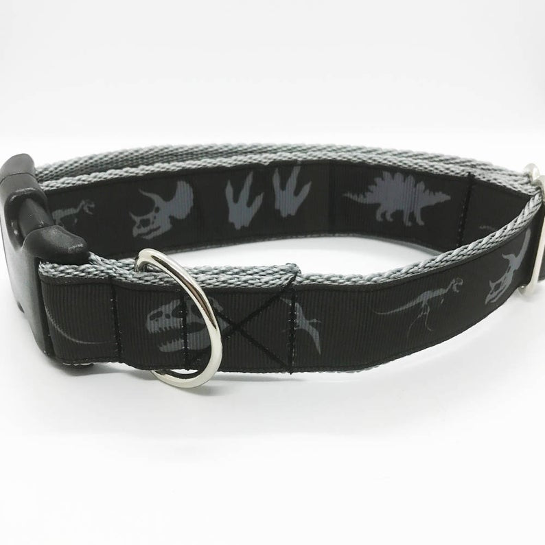 Orange Jurassic Dinosaur Skeleton Bones Dog Collar - View 5 | Dottie's Pet Boutique