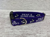 Deaf and Blind Dog Collar - Any Colour - Custom Dog Collars
