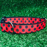 Red and Black Spots Dots Ladybird Inspired Dog Collar - Custom Dog Collars