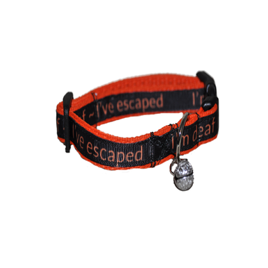 Personalised Name Cat Collar - View 7 | Dottie's Pet Boutique