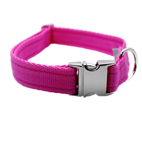 Plain Collar with Silver Side Release - Custom Dog Collars