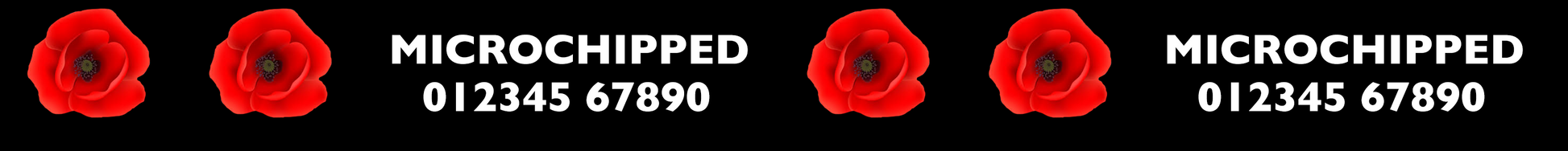 Personalised Dogs Name Custom Text Dog Collar - View 7 | Dottie's Pet Boutique