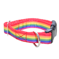 Colourful Rainbow Ribbon Dog Collar - Custom Dog Collars