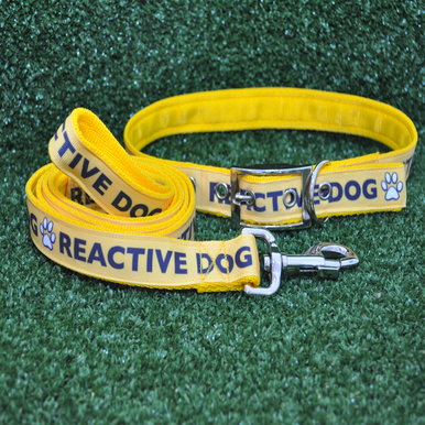 Reactive Dog Alert Dog Collar - View 2 | Dottie's Pet Boutique
