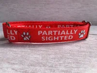 Partially Sighted Blind Alert Dog Collar 4