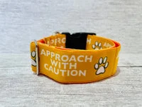 Approach with Caution Alert Dog Collar 1