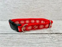 Red Daisy Dog Collar 2
