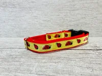 Ladybird Ladybug Insect Dog Collar 2