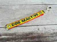 Personalised Short Extension Lead Short Extension Dog Lead 10