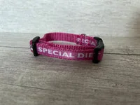 Special Diet - Do Not Feed Ribbon Puppy/Small Dog Collar 8