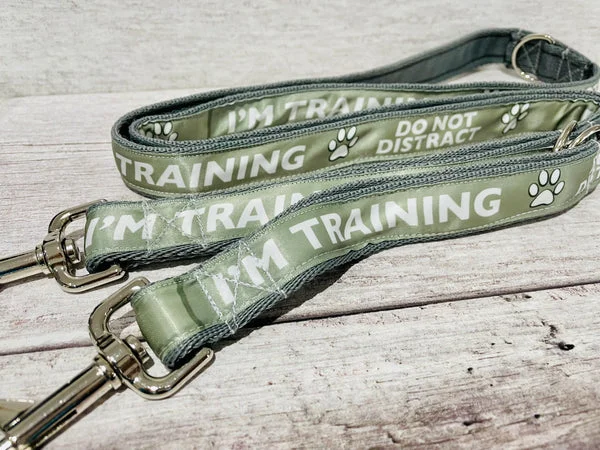 Solid Colour - I'm Training Do Not Distract Ribbon Dog Lead