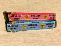 Goldies Rules Dog Collar 3