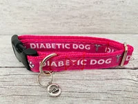 Hot Pink Diabetic - Medical Alert Dog Collar 3