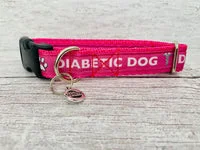 Hot Pink Diabetic - Medical Alert Dog Collar 2