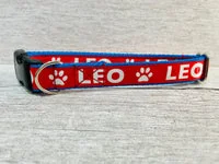 Personalised Dog Collar with Custom Name and Text 2