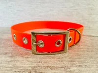 Royal Blue Biothane Waterproof Dog Collar 4