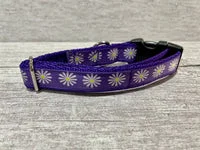 Purple Single Daisy Print Dog Collar 3