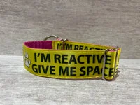 Personalised Dog Collar - Your Design, Any Text 13