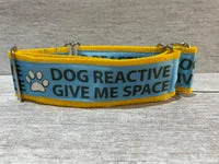 Personalised Dog Collar - Your Design, Any Text 18