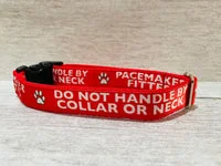 Personalised Dog Collar - Your Design, Any Text 7