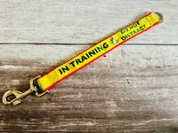 In Training Alert Short Extension Dog Lead | UK 7