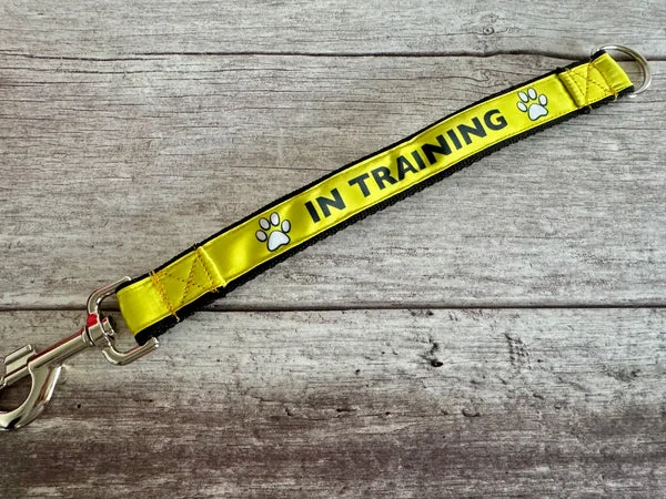 In Training Alert Short Extension Dog Lead | UK