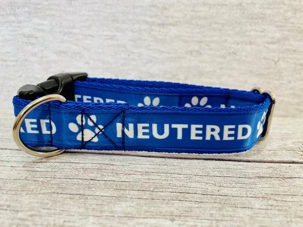 Neutered Dog Collar