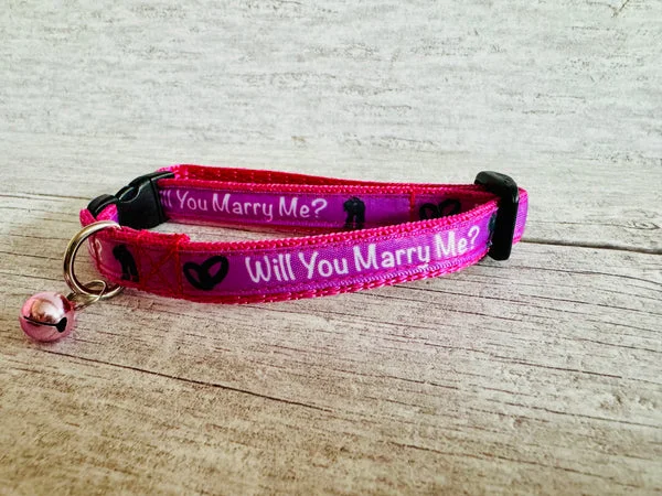 Pink Marriage Wedding Puppy Collar Will you Marry Me?