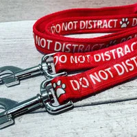 Solid Colour Do Not Distract Dog Lead 3