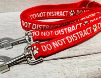 Solid Colour Do Not Distract Dog Lead 2