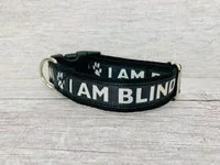 I Am Blind Dog Alert Collar 3