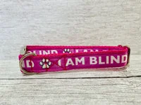 I Am Blind Dog Alert Collar 10