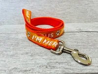 Solid Colour I'm Nervous Alert Dog Collar 3