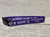 Assistance Dog Collar - Handmade in the UK 5