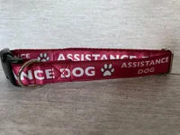 Assistance Dog Collar - Handmade in the UK 4