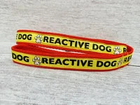 Reactive Dog Lead 2