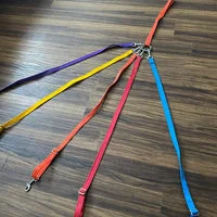 Multiple Dog Walking Lead - Adjustable for Each Dog 14