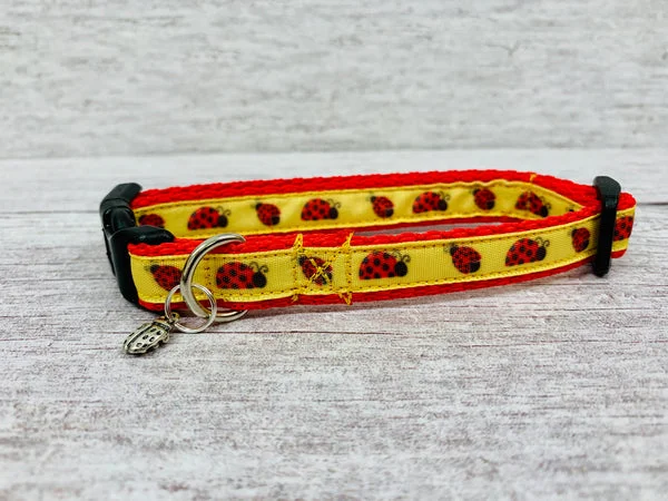 Ladybird Puppy/Small Dog Collar