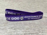 In Training - Assistance Dog Alert Dog Lead 3