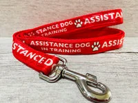 In Training - Assistance Dog Alert Dog Lead 1