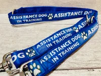 In Training - Assistance Dog Alert Dog Lead 4
