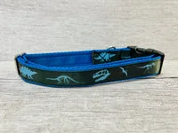 Blue Jurassic Dinosaur Skeleton Bones Dog Collar 2