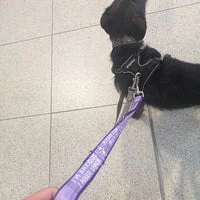 Custom Print Personalised Dog Lead 15