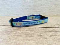 Birthday Cake Cat Collar 3
