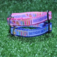 Birthday Cake Cat Collar 4